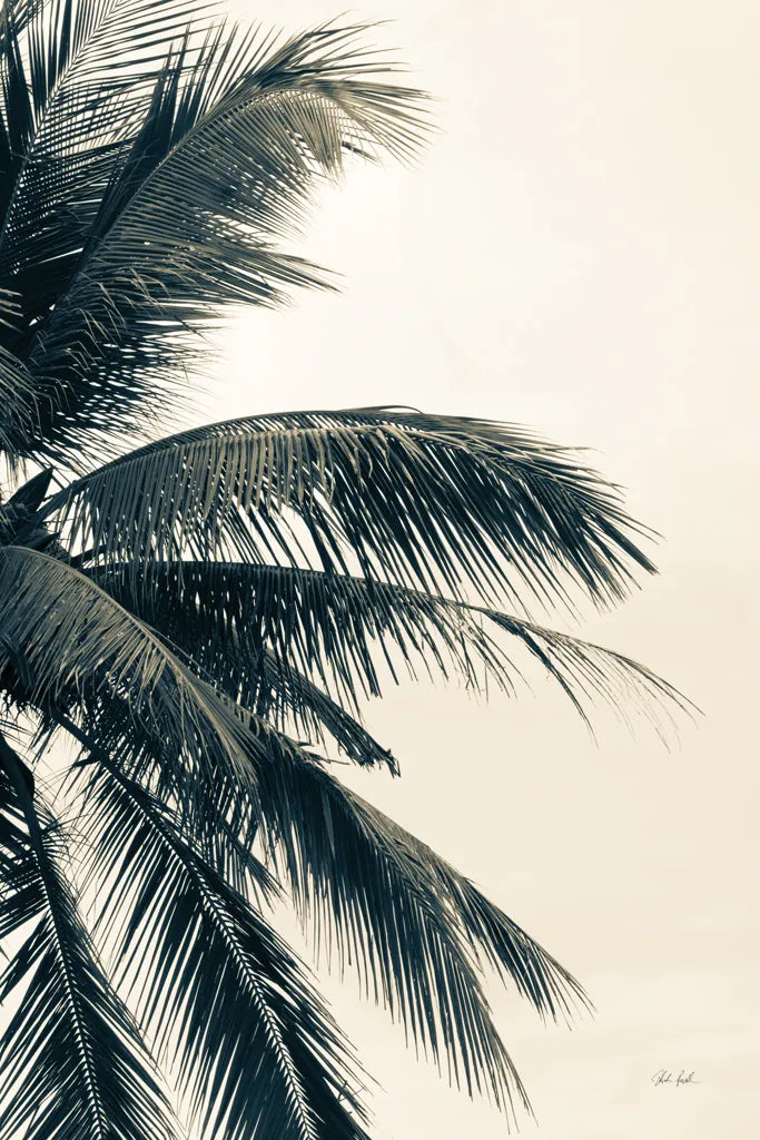Tropical Palm I by Deborah Revell. SKU 104962h. Archival Giclee Fine art print for wall decor.