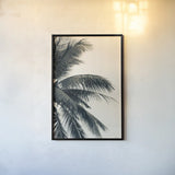 Tropical Palm I by Deborah Revell. shown as a paper print in a black flame. Available as a archival giclee rolled canvas, fine art paper, or poster print. SKU 104962h.