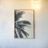 Tropical Palm I by Deborah Revell. shown as a paper print in a natural frame. Available as a archival giclee rolled canvas, fine art paper, or poster print. SKU 104962h.