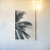 Tropical Palm I by Deborah Revell. shown as a paper print in a white frame. Available as a archival giclee rolled canvas, fine art paper, or poster print. SKU 104962h.