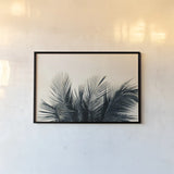 Tropical Palm II by Deborah Revell. shown as a paper print in a black flame. Available as a archival giclee rolled canvas, fine art paper, or poster print. SKU 104963i.