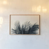Tropical Palm II by Deborah Revell. shown as a paper print in a natural frame. Available as a archival giclee rolled canvas, fine art paper, or poster print. SKU 104963i.