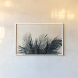 Tropical Palm II by Deborah Revell. shown as a paper print in a white frame. Available as a archival giclee rolled canvas, fine art paper, or poster print. SKU 104963i.