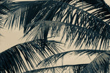 Tropical Palm III by Deborah Revell. SKU 104964i. Archival Giclee Fine art print for wall decor.