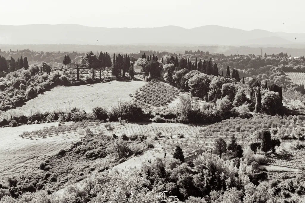 Tuscan Hills I by Deborah Revell. SKU 102088i. Archival Giclee Fine art print for wall decor.