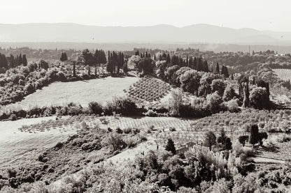 Tuscan Hills I by Deborah Revell. SKU 102088i. Archival Giclee Fine art print for wall decor.