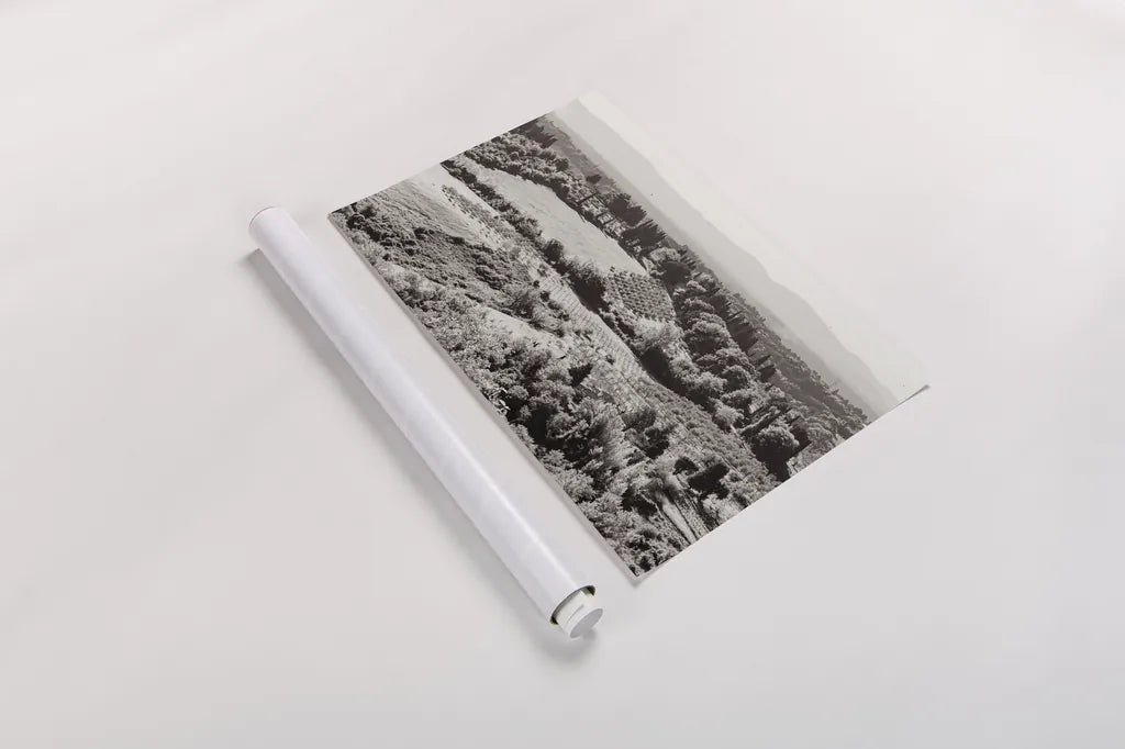 Tuscan Hills I by Deborah Revell. shown as a rolled paper print. Available as archival giclee rolled canvas, fine art paper, or poster print. SKU 102088i.