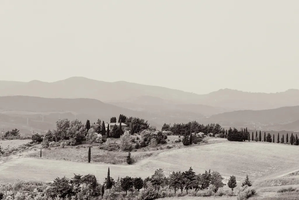 Tuscan Hills II by Deborah Revell. SKU 102089i. Archival Giclee Fine art print for wall decor.