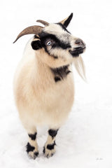 Two Little Goats I by Deborah Revell. SKU 96308h. Archival Giclee Fine art print for wall decor.