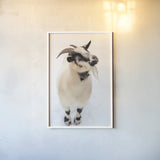 Two Little Goats I by Deborah Revell. shown as a paper print in a white frame. Available as a archival giclee rolled canvas, fine art paper, or poster print. SKU 96308h.