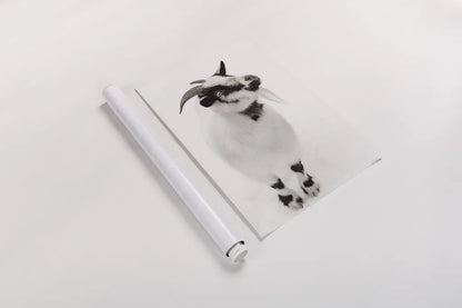 Two Little Goats I BW by Deborah Revell. shown as a rolled paper print. Available as archival giclee rolled canvas, fine art paper, or poster print. SKU 96310h.