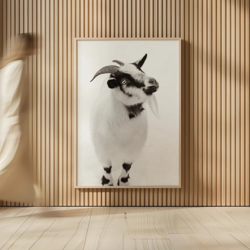 Two Little Goats I BW by Deborah Revell. shown as over sized large wall art. Available as an archival giclee rolled canvas, fine art paper, or poster print. SKU 96310h.