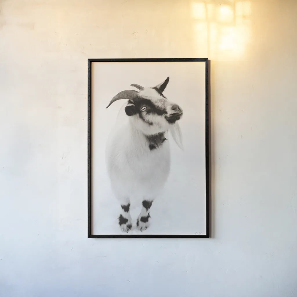 Two Little Goats I BW by Deborah Revell. shown as a paper print in a black flame. Available as a archival giclee rolled canvas, fine art paper, or poster print. SKU 96310h.