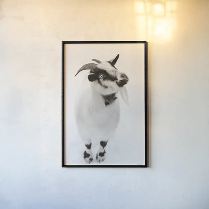 Two Little Goats I BW by Deborah Revell. shown as a paper print in a black flame. Available as a archival giclee rolled canvas, fine art paper, or poster print. SKU 96310h.
