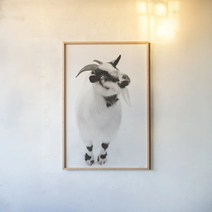 Two Little Goats I BW by Deborah Revell. shown as a paper print in a natural frame. Available as a archival giclee rolled canvas, fine art paper, or poster print. SKU 96310h.