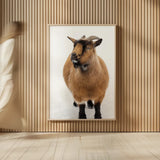 Two Little Goats II by Deborah Revell. shown as over sized large wall art. Available as an archival giclee rolled canvas, fine art paper, or poster print. SKU 96309h.