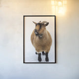 Two Little Goats II by Deborah Revell. shown as a paper print in a black flame. Available as a archival giclee rolled canvas, fine art paper, or poster print. SKU 96309h.