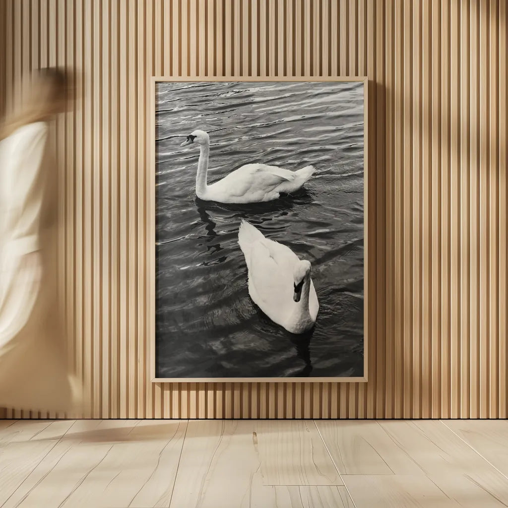 Two Swans by Deborah Revell. shown as over sized large wall art. Available as an archival giclee rolled canvas, fine art paper, or poster print. SKU 96814h.