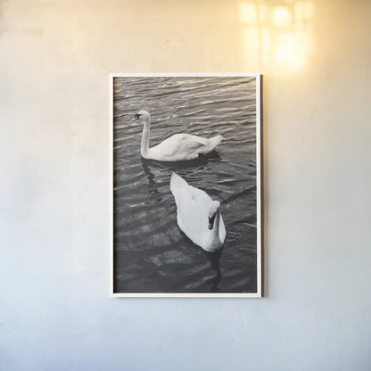 Two Swans by Deborah Revell. shown as a paper print in a white frame. Available as a archival giclee rolled canvas, fine art paper, or poster print. SKU 96814h.
