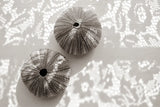 Urchins in Lace I by Deborah Revell. SKU 94292i. Archival Giclee Fine art print for wall decor.
