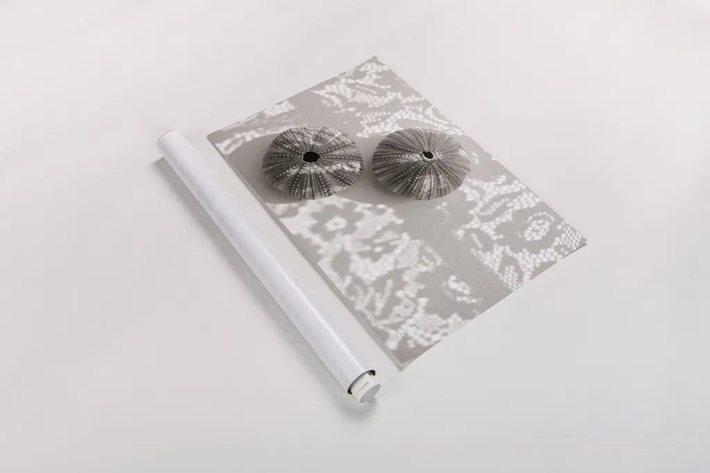 Urchins in Lace I by Deborah Revell. shown as a rolled paper print. Available as archival giclee rolled canvas, fine art paper, or poster print. SKU 94292i.