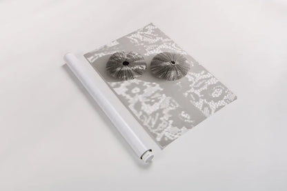Urchins in Lace I by Deborah Revell. shown as a rolled paper print. Available as archival giclee rolled canvas, fine art paper, or poster print. SKU 94292i.