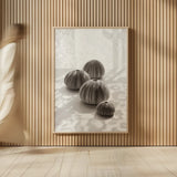 Urchins in Lace II by Deborah Revell. shown as over sized large wall art. Available as an archival giclee rolled canvas, fine art paper, or poster print. SKU 94293h.