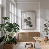 Urchins in Lace II by Deborah Revell. shown as a print in a natural wood frame in a dining room. Available as a archival giclee rolled canvas, fine art paper, or poster print. SKU 94293h.