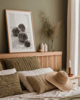 Urchins in Lace II by Deborah Revell. shown as a paper print in a natural frame. Available as a archival giclee rolled canvas, fine art paper, or poster print. SKU 94293h.