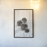 Urchins in Lace II by Deborah Revell. shown as a paper print in a black flame. Available as a archival giclee rolled canvas, fine art paper, or poster print. SKU 94293h.