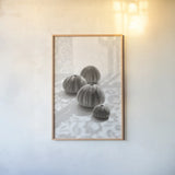 Urchins in Lace II by Deborah Revell. shown as a paper print in a natural frame. Available as a archival giclee rolled canvas, fine art paper, or poster print. SKU 94293h.
