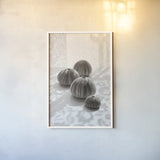 Urchins in Lace II by Deborah Revell. shown as a paper print in a white frame. Available as a archival giclee rolled canvas, fine art paper, or poster print. SKU 94293h.