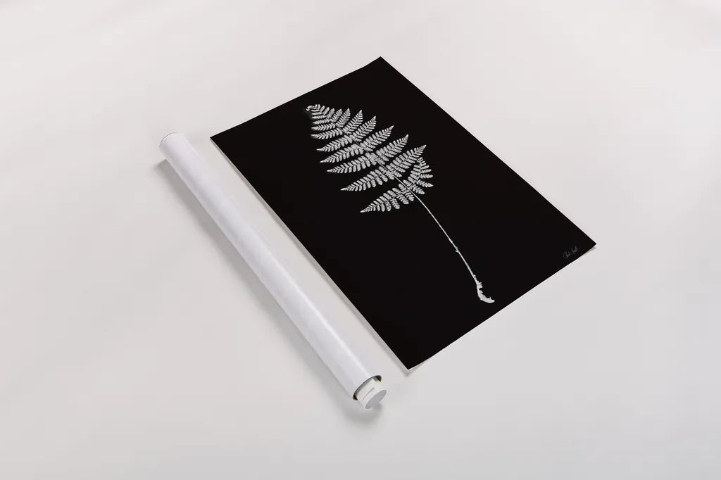 Vermont Fern by Deborah Revell. shown as a rolled paper print. Available as archival giclee rolled canvas, fine art paper, or poster print. SKU 92204h.