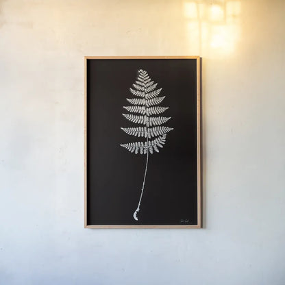 Vermont Fern by Deborah Revell. shown as a paper print in a natural frame. Available as a archival giclee rolled canvas, fine art paper, or poster print. SKU 92204h.