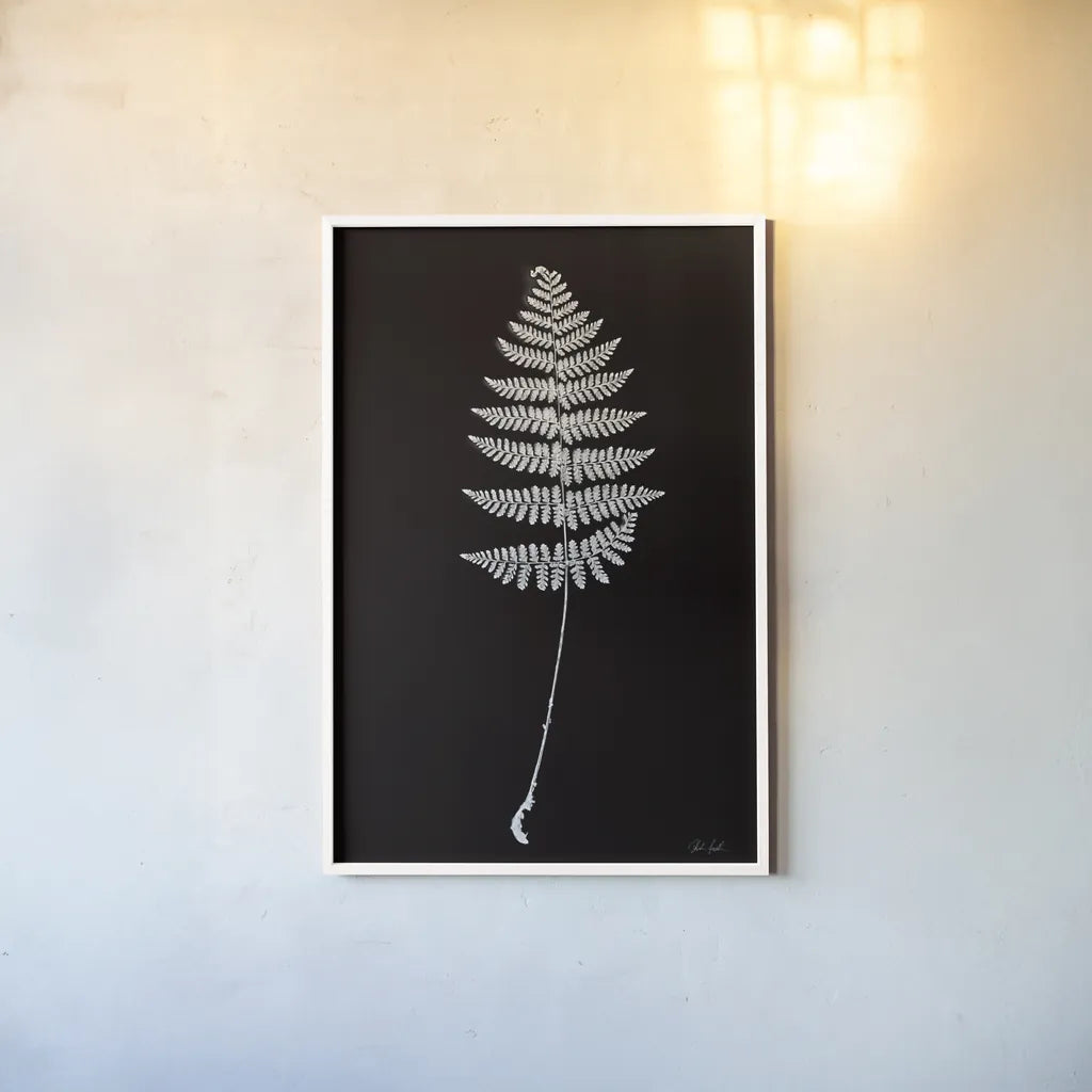 Vermont Fern by Deborah Revell. shown as a paper print in a white frame. Available as a archival giclee rolled canvas, fine art paper, or poster print. SKU 92204h.