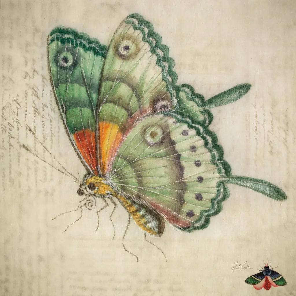 Vintage Aqua Butterfly by Deborah Revell. SKU 91129a. Archival Giclee Fine art print for wall decor.