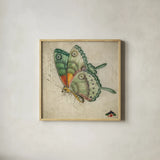 Vintage Aqua Butterfly by Deborah Revell. Shown in a natural wood glass frame for a timeless modern aesthetic. Available as an archival giclee rolled canvas, fine art paper, or poster print. SKU 91129a.