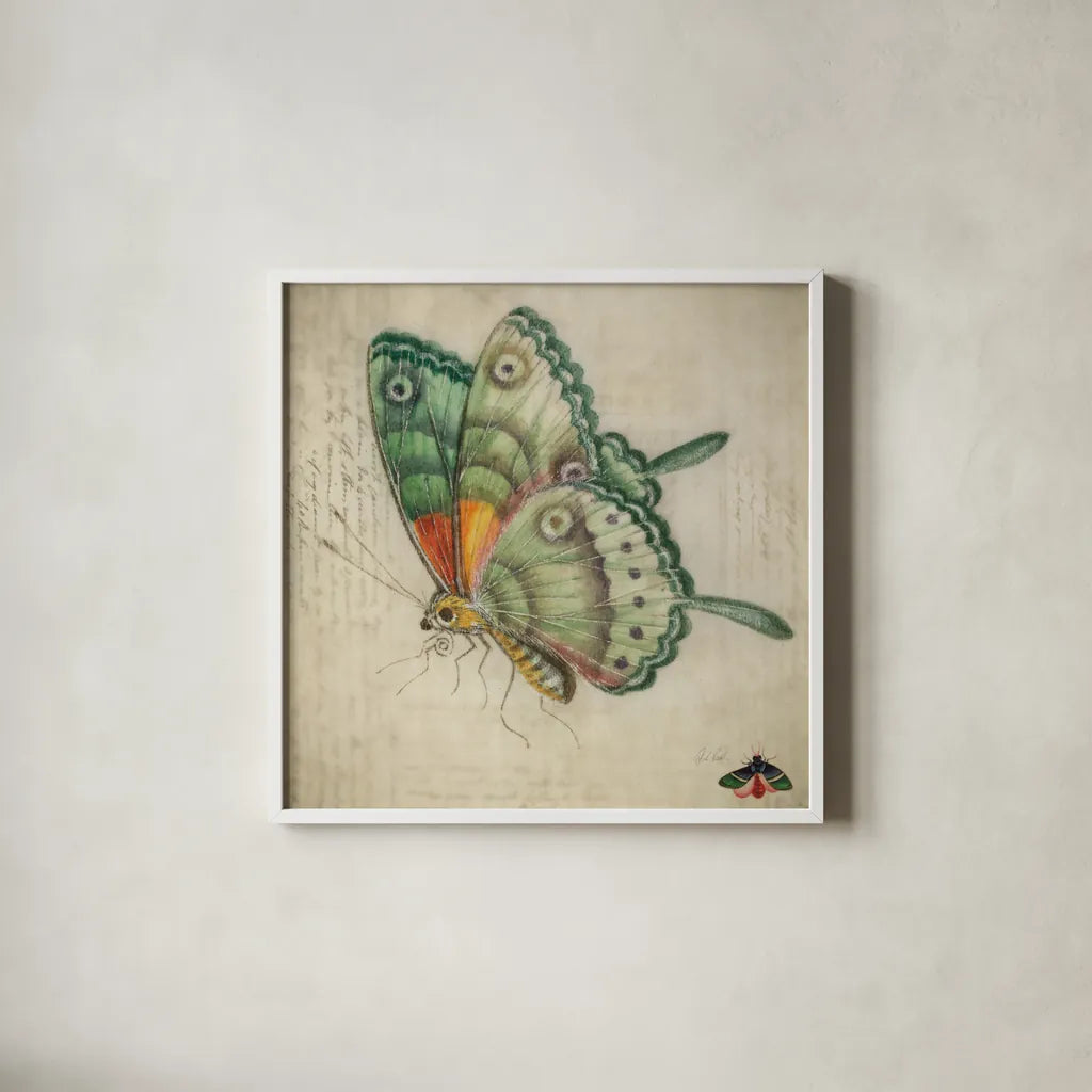 Vintage Aqua Butterfly by Deborah Revell. Shown in a crisp white glass frame for a clean and minimalist style. Available as an archival giclee rolled canvas, fine art paper, or poster print. SKU 91129a.