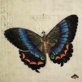 Vintage Blue Butterfly by Deborah Revell. SKU 91130a. Archival Giclee Fine art print for wall decor.