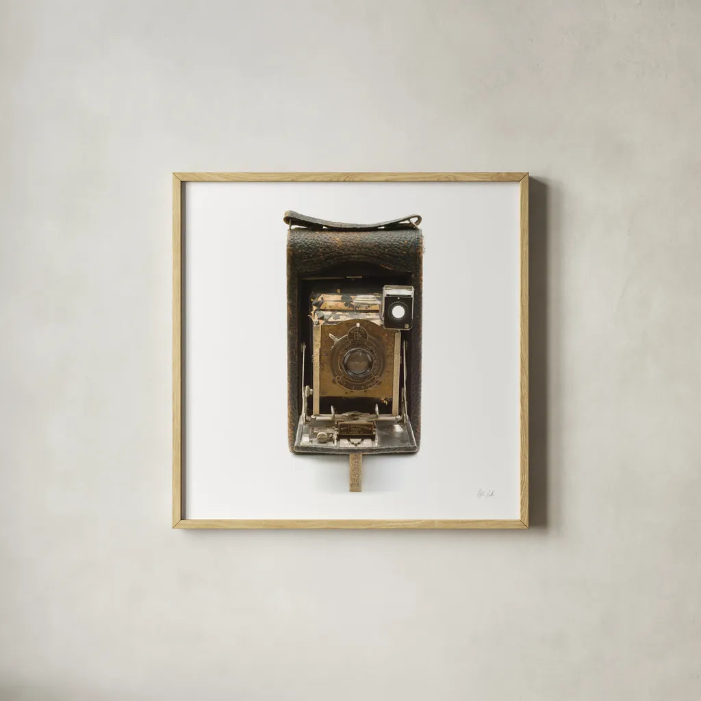 Vintage Camera by Deborah Revell. Shown in a natural wood glass frame for a timeless modern aesthetic. Available as an archival giclee rolled canvas, fine art paper, or poster print. SKU 92065a.