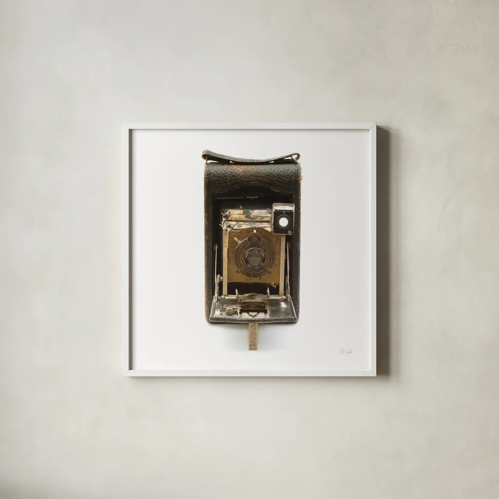 Vintage Camera by Deborah Revell. Shown in a crisp white glass frame for a clean and minimalist style. Available as an archival giclee rolled canvas, fine art paper, or poster print. SKU 92065a.