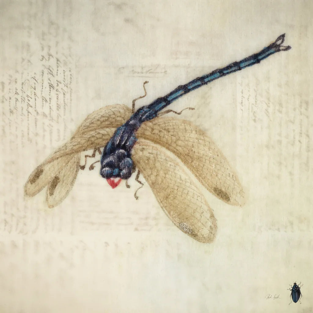 Vintage Dragonfly by Deborah Revell. SKU 91135a. Archival Giclee Fine art print for wall decor.