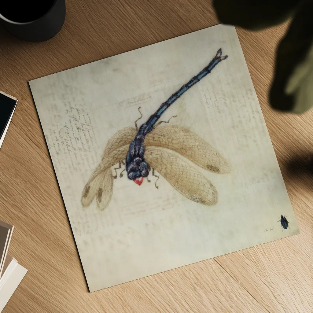 Vintage Dragonfly by Deborah Revell. Shown as a detailed flat fine art print, highlighting archival giclee quality. Available as an archival giclee rolled canvas, fine art paper, or poster print. SKU 91135a.