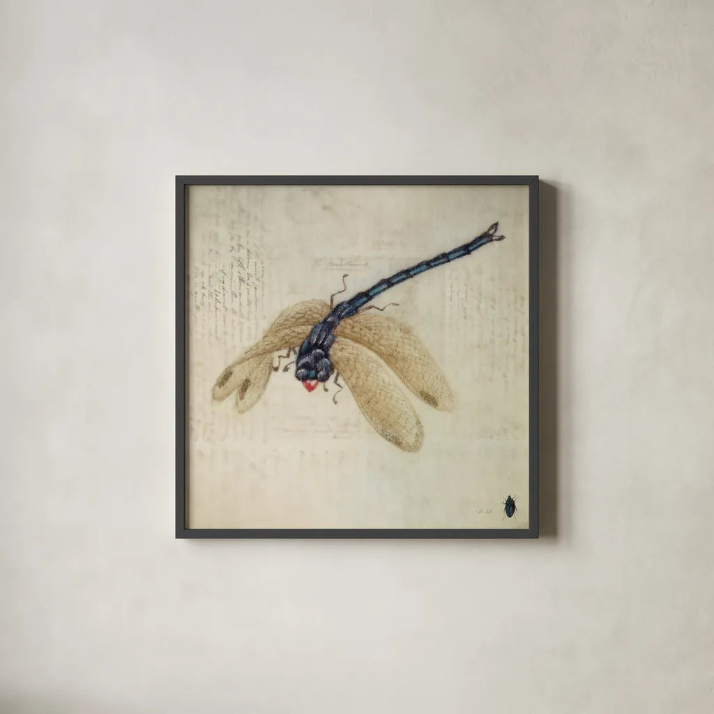Vintage Dragonfly by Deborah Revell. Shown in a sleek black glass frame for a contemporary gallery look. Available as an archival giclee rolled canvas, fine art paper, or poster print. SKU 91135a.