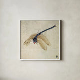 Vintage Dragonfly by Deborah Revell. Shown in a crisp white glass frame for a clean and minimalist style. Available as an archival giclee rolled canvas, fine art paper, or poster print. SKU 91135a.
