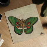 Vintage Green Butterfly by Deborah Revell. Shown as a detailed flat fine art print, highlighting archival giclee quality. Available as an archival giclee rolled canvas, fine art paper, or poster print. SKU 91131a.
