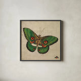Vintage Green Butterfly by Deborah Revell. Shown in a sleek black glass frame for a contemporary gallery look. Available as an archival giclee rolled canvas, fine art paper, or poster print. SKU 91131a.