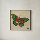 Vintage Green Butterfly by Deborah Revell. Shown in a natural wood glass frame for a timeless modern aesthetic. Available as an archival giclee rolled canvas, fine art paper, or poster print. SKU 91131a.
