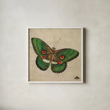 Vintage Green Butterfly by Deborah Revell. Shown in a crisp white glass frame for a clean and minimalist style. Available as an archival giclee rolled canvas, fine art paper, or poster print. SKU 91131a.