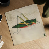 Vintage Green Grasshopper by Deborah Revell. Shown as a detailed flat fine art print, highlighting archival giclee quality. Available as an archival giclee rolled canvas, fine art paper, or poster print. SKU 91136a.